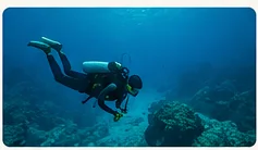Scuba diver exploring a coral reef